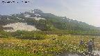 area1-20250607161019.jpg