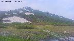 area1-20250608051019.jpg