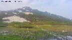 area1-20250608052018.jpg