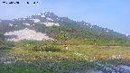 area1-20250608055020.jpg