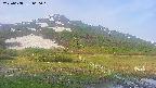 area1-20250608060020.jpg