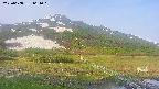 area1-20250608061020.jpg