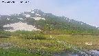 area1-20250608062018.jpg