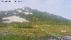 area1-20250608063017.jpg
