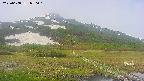 area1-20250608070018.jpg