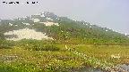 area1-20250608071020.jpg