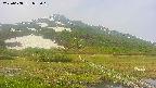 area1-20250608072019.jpg