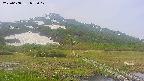 area1-20250608073018.jpg