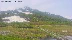 area1-20250608080022.jpg