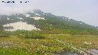 area1-20250608082019.jpg