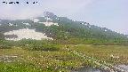 area1-20250608085019.jpg