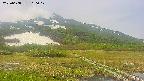area1-20250608100018.jpg