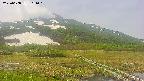area1-20250608101017.jpg
