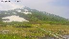 area1-20250608104019.jpg