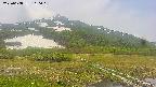 area1-20250608110019.jpg