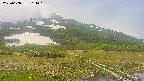 area1-20250608114018.jpg