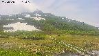 area1-20250608115018.jpg