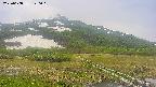 area1-20250608120022.jpg