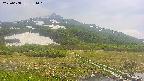 area1-20250608131019.jpg