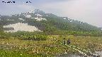 area1-20250608132018.jpg