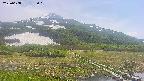 area1-20250608135020.jpg
