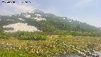 area1-20250608140018.jpg