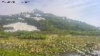 area1-20250608144020.jpg