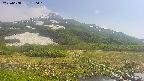 area1-20250608150021.jpg