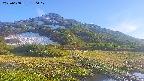 area1-20250608180018.jpg