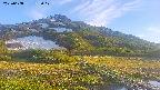area1-20250608182019.jpg
