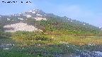 area1-20250609053023.jpg