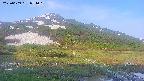 area1-20250609054023.jpg