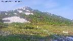 area1-20250609061020.jpg