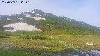 area1-20250609062020.jpg