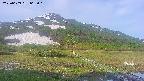 area1-20250609063016.jpg
