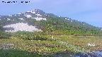 area1-20250609064018.jpg