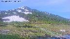 area1-20250609065019.jpg