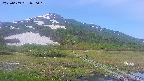 area1-20250609070019.jpg