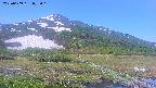 area1-20250609072017.jpg