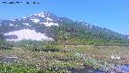 area1-20250609073021.jpg