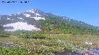 area1-20250609074019.jpg