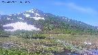 area1-20250609075018.jpg