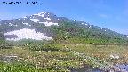 area1-20250609080020.jpg