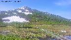 area1-20250609081021.jpg