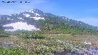 area1-20250609082025.jpg