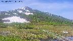 area1-20250609083018.jpg