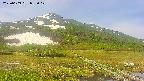 area1-20250609085018.jpg