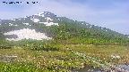 area1-20250609090019.jpg