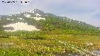 area1-20250609091019.jpg
