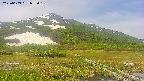 area1-20250609093019.jpg
